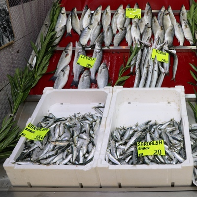 140 günlük hasret sona eriyor