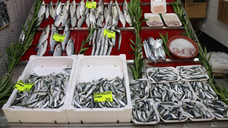 140 günlük hasret sona eriyor