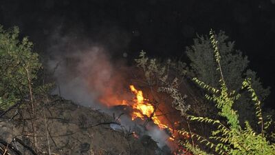 Malkara'da orman yangını!