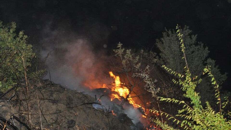 Malkara'da orman yangını!