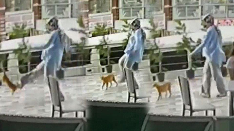 Bak şu vicdansıza!