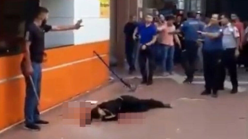 Otogardaki vahşette sıcak gelişme!