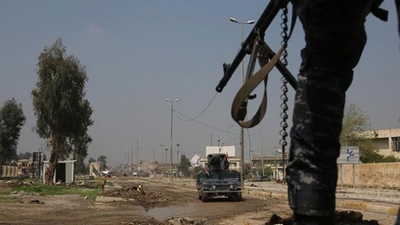 Irak'ta bomba yüklü ineklerle terör saldırısı