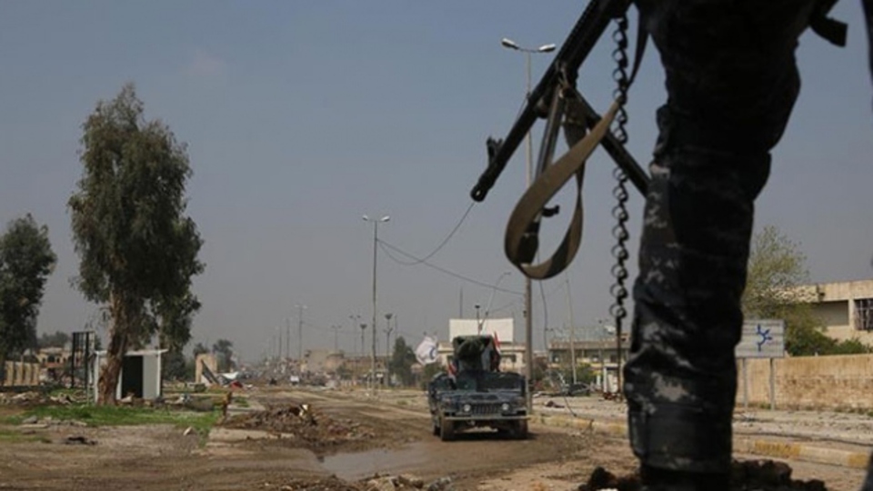 Irak'ta bomba yüklü ineklerle terör saldırısı