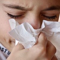 Alerjisi bulunan çocuklar için 'okullara tedbir' uyarısı