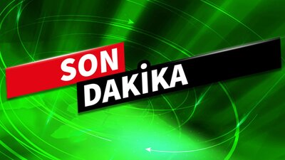 Luiz Gustavo, Fenerbahçe'de