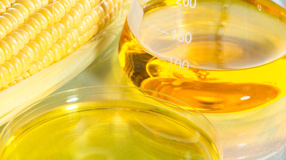 Cumhurbaşkanı Erdoğan: NBŞ kotasını yüzde 2.5'e indiriyoruz