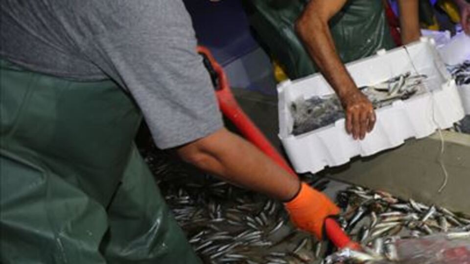 Karadenizli balıkçılar 'vira bismillah' dedi