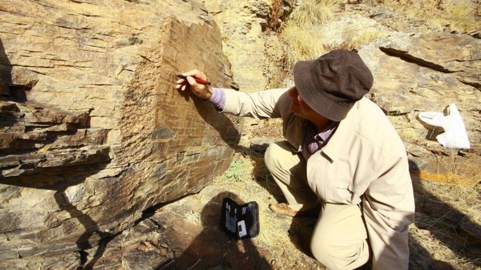 Yeri saklı tutuluyor! Kars'ta bulundu!