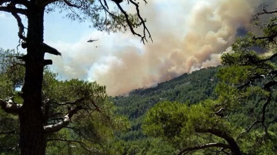 Kaş ve Erdek'teki orman yangınları kontrol altına alındı