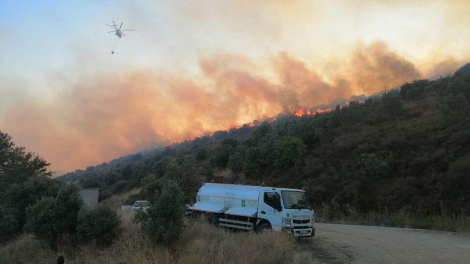 Bir orman yangını haberi de Balıkesir'den geldi
