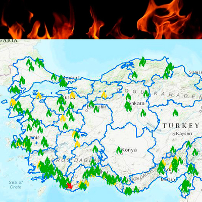 Bir ayda 300 orman yangını çıktı! Uzmanlar uyardı
