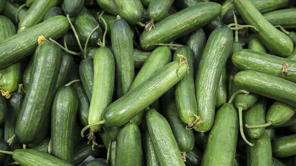 Ağustos ayının zam şampiyonu salatalık oldu