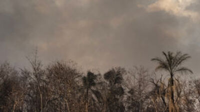 Brezilya, Fransa'nın yardımını resmen reddetti