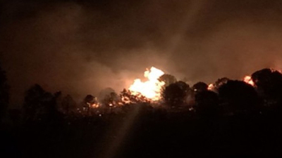 İzmir'de ormanlık alanın kundaklandığı iddiası