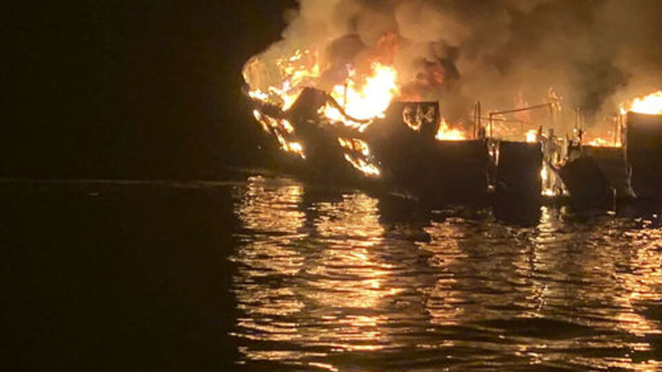 Resmen açıklandı: Kurtulan yok!