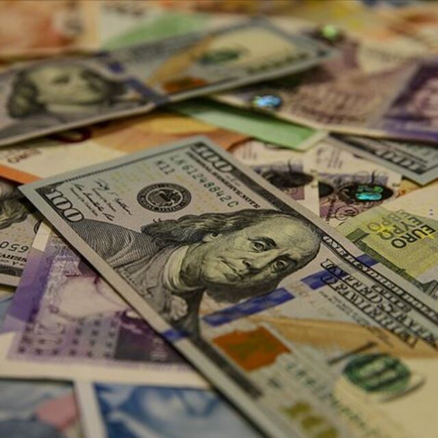Reel efektif döviz kuru endeksi ağustosta yükseldi