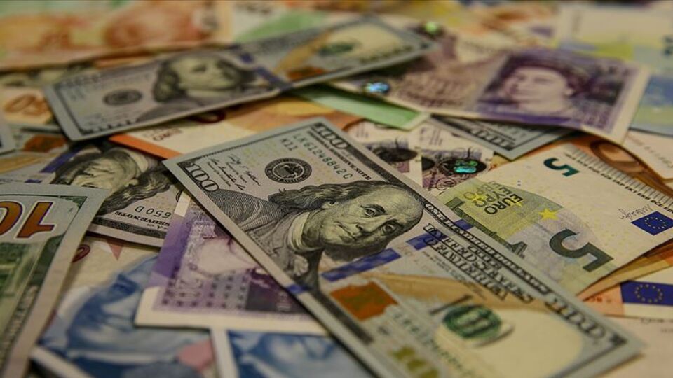 Reel efektif döviz kuru endeksi ağustosta yükseldi