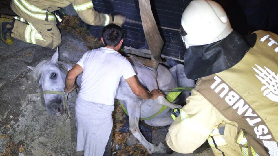 Su kanalına düşen atı itfaiye kurtardı