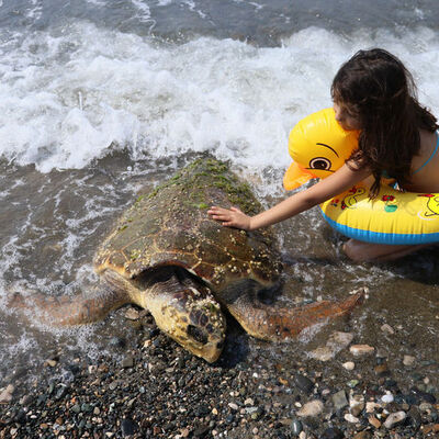Vahşet! Çekiçle kafatasını kırdılar