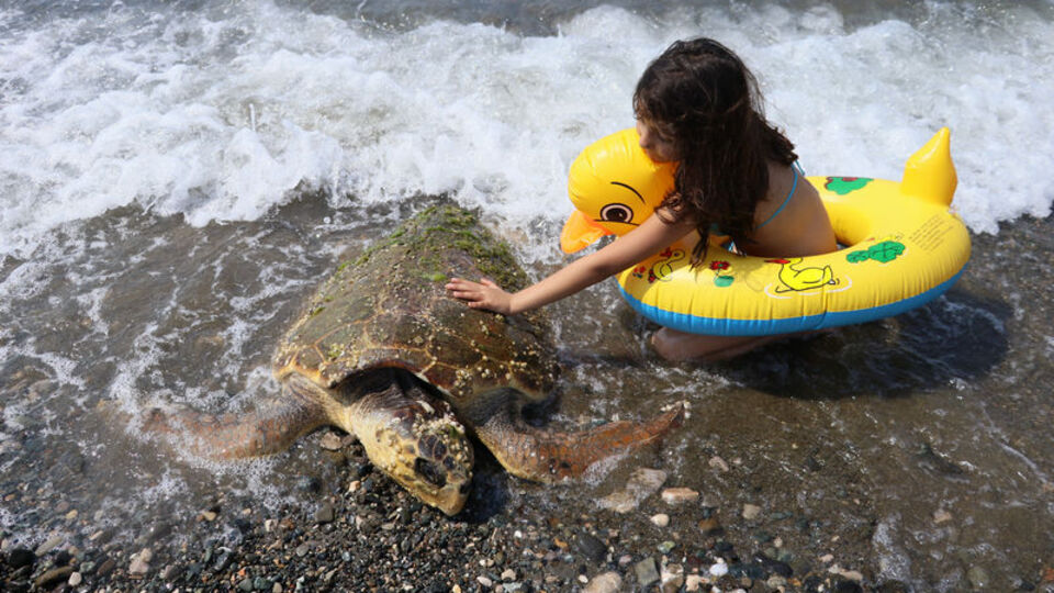 Vahşet! Çekiçle kafatasını kırdılar