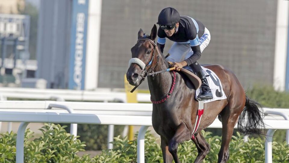 Jokey lisansı ihalesine model aranıyor