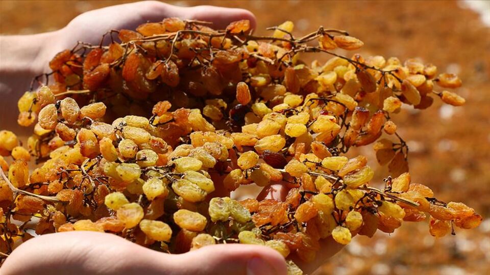 İhracatı ilk kez yarım milyar doları aştı