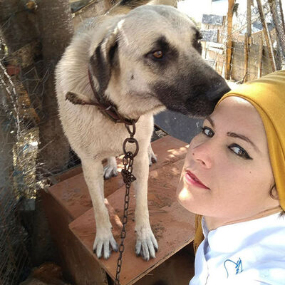 Duman'ı öldüren çocuğa para cezası!