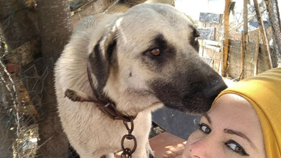 Duman'ı öldüren çocuğa para cezası!