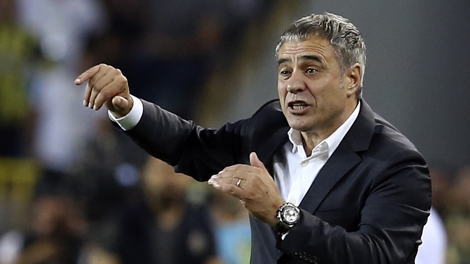 Yanal'dan şampiyonluk sözleri