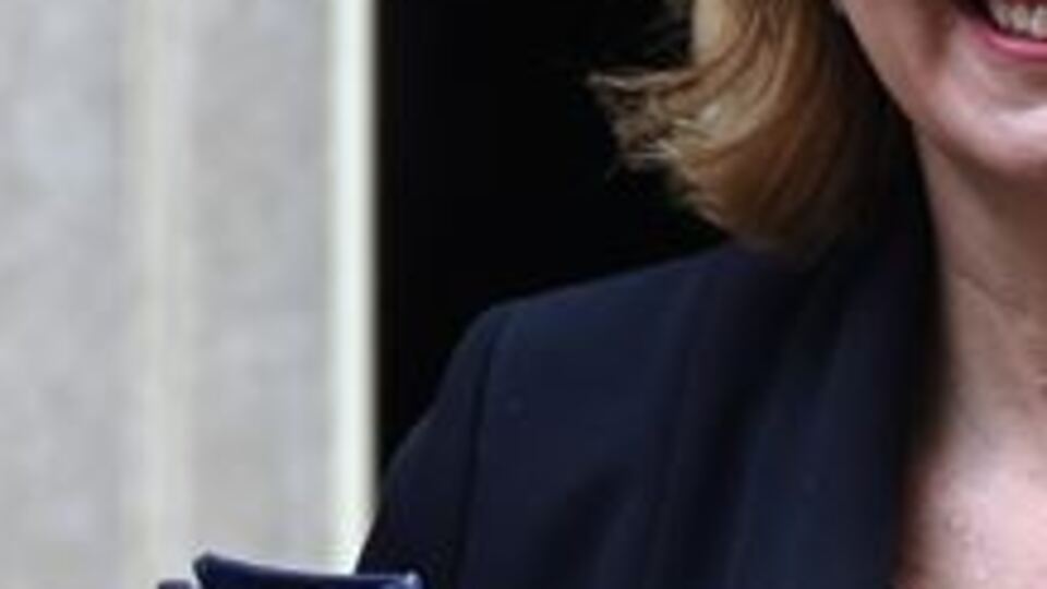 Johnson kabinesinde ikinci istifa