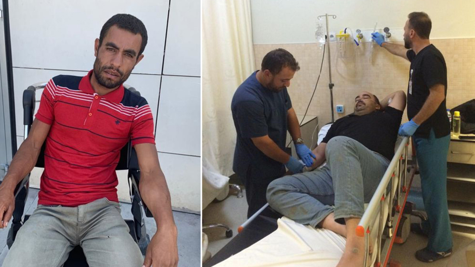 Arılar tarım işçilerine saldırdı: 19 yaralı!