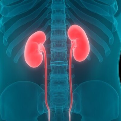 Böbreği bitiriyorlar!