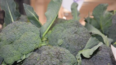 Alfa Lipoik Asit nedir?