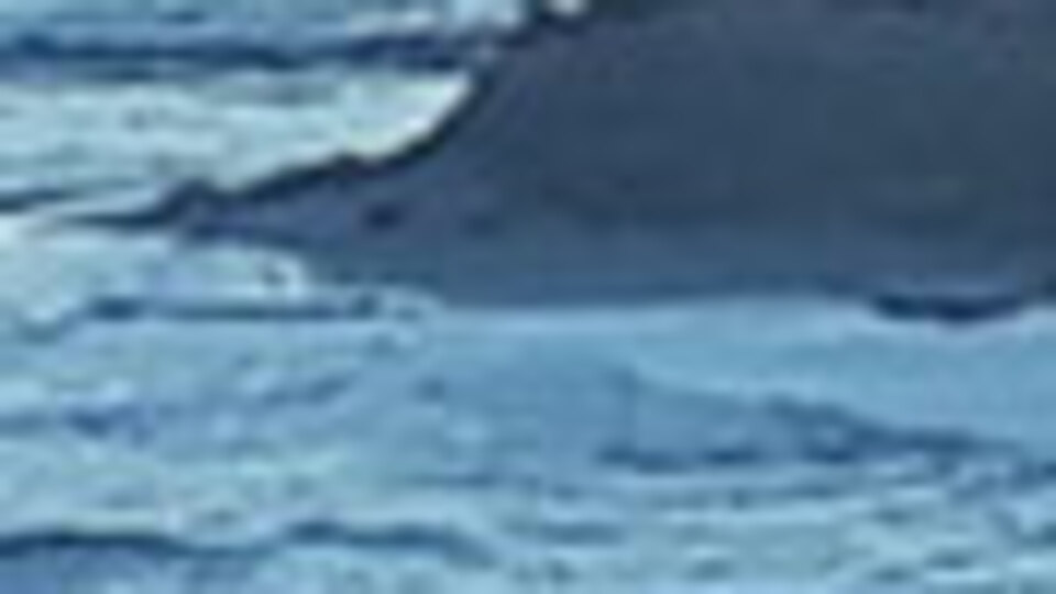 İznik Gölü'nde ilginç görüntü!