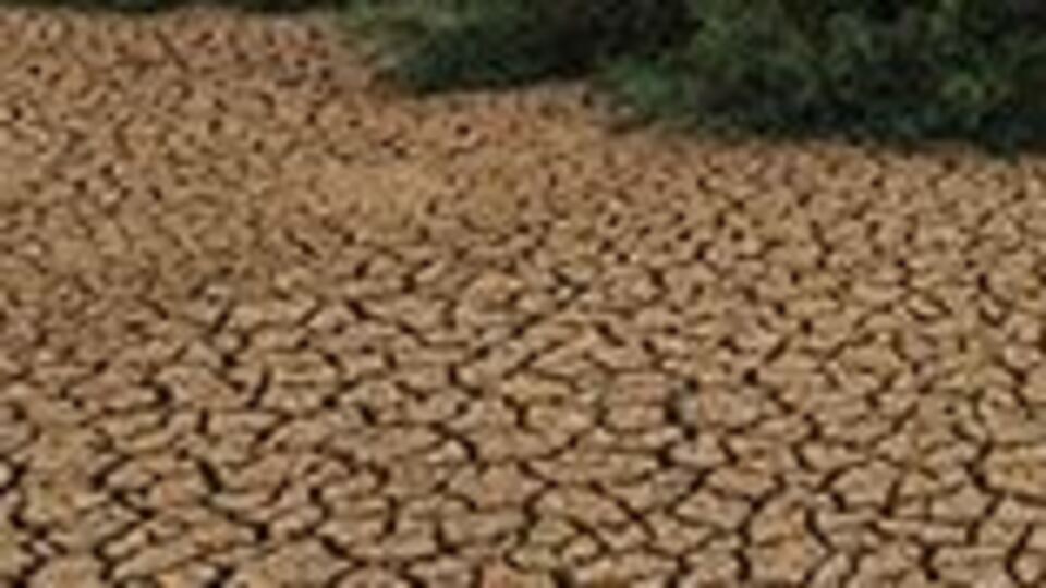 BM'den iklim değişikliği uyarısı