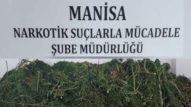 Manisa'da uyuşturucu operasyonu