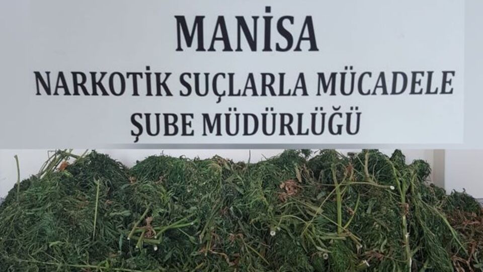 Manisa'da uyuşturucu operasyonu
