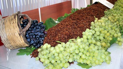 TMO kuru üzüm alımlarına başladı