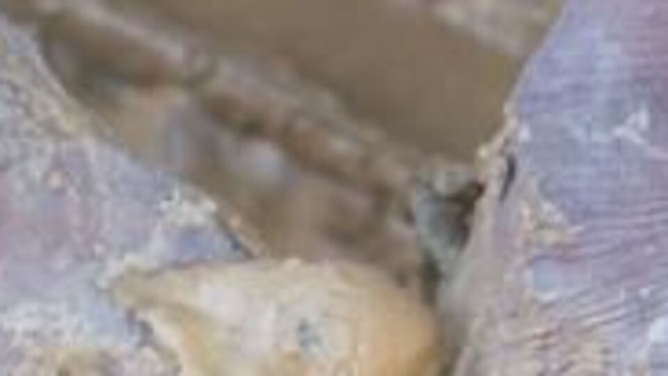 BM: Dünyada 40 milyon insan köleleştirildi