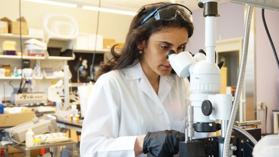 Canan Dağdeviren yine gururlandırdı!