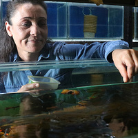 Evde balık üreterek para Kazanma