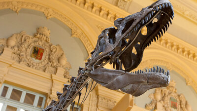 Dinozorların yok oluşuna ilişkin kanıt bulundu!