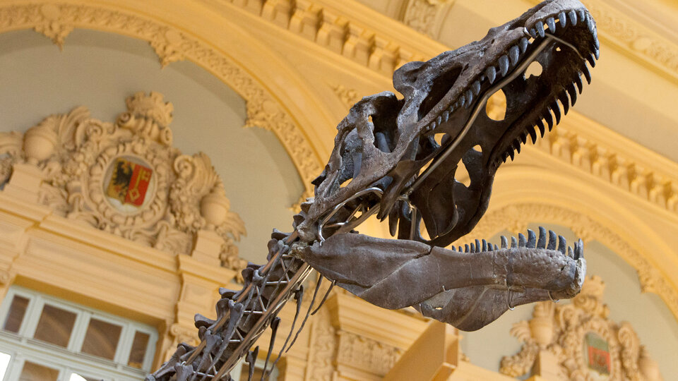 Dinozorların yok oluşuna ilişkin kanıt bulundu!