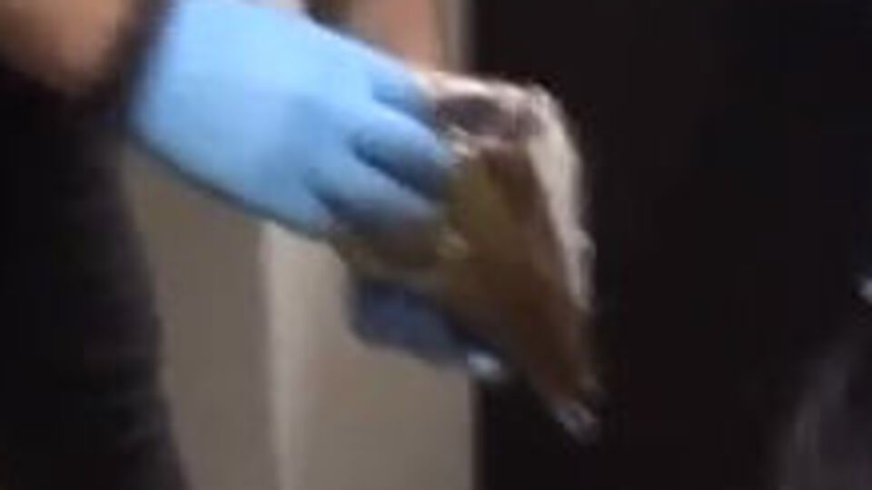 İstanbul Havalimanında kaçak "pırlanta" operasyonu