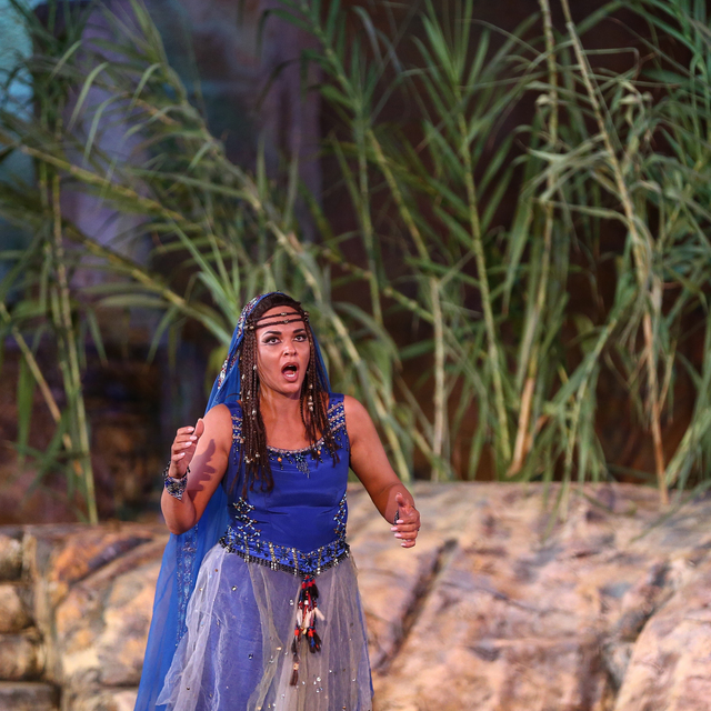 'Aida'ya büyük ilgi