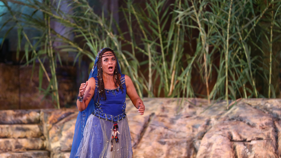 'Aida'ya büyük ilgi