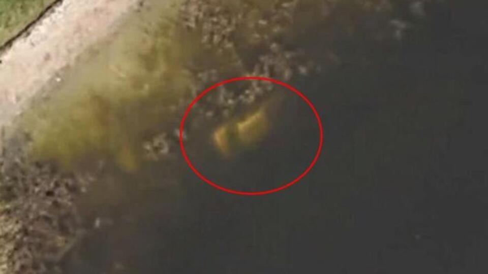 22 yıl önce kaybolan adam Google Earth ile bulundu