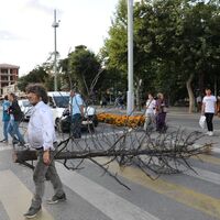 Yanan ağaçları sırtında kent merkezine taşıdı!