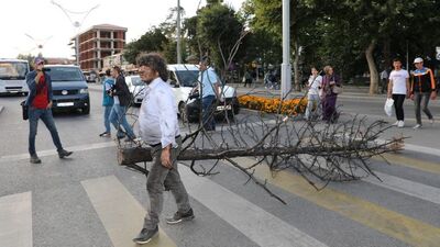 Yanan ağaçları sırtında kent merkezine taşıdı!